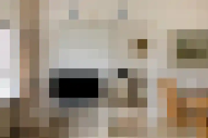 Graaf Adolfstraat 21 Eindhoven thumbnail 11