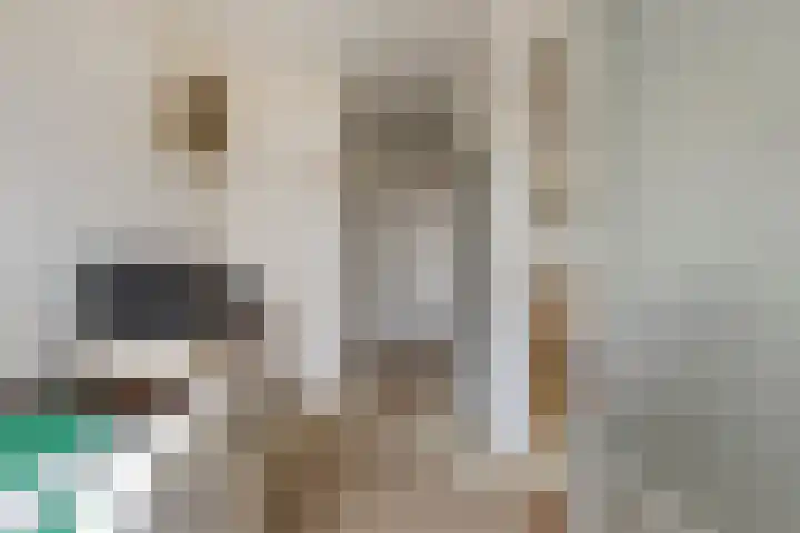 Graaf Adolfstraat 21 Eindhoven thumbnail 22
