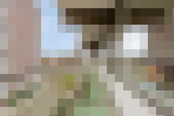 Graaf Adolfstraat 21 Eindhoven thumbnail 27