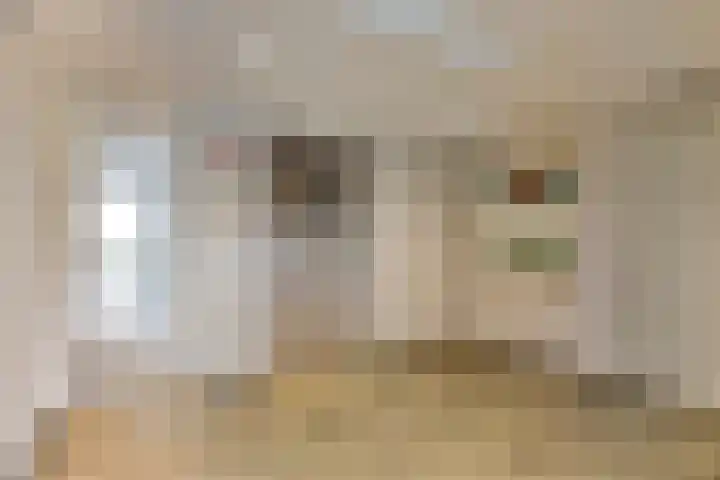 Graaf Adolfstraat 21 Eindhoven thumbnail 5