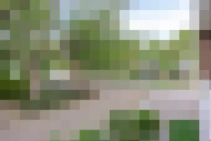 Graaf Adolfstraat 3 Barendrecht thumbnail 43