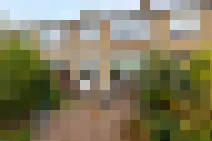 Graaf Adolfstraat 32 Hardinxveld-Giessendam thumbnail 21