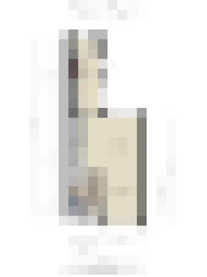 Graaf Adolfstraat 39 Ridderkerk thumbnail 35