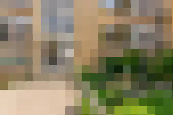 Graaf Adolfstraat 58 Utrecht thumbnail 44