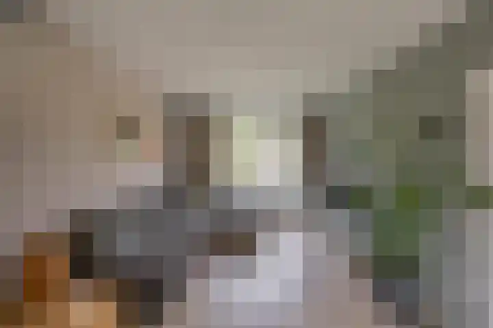 Graaf Adolfstraat 76 b Groningen thumbnail 9
