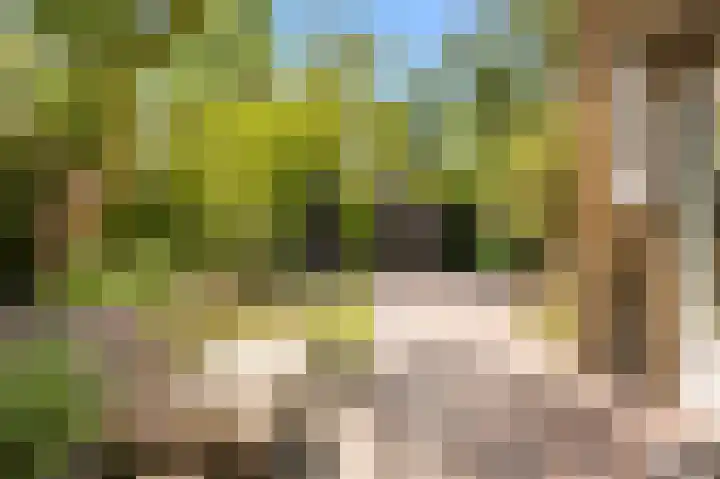 Graaf Aelbrechtlaan 4 Amstelveen thumbnail 12