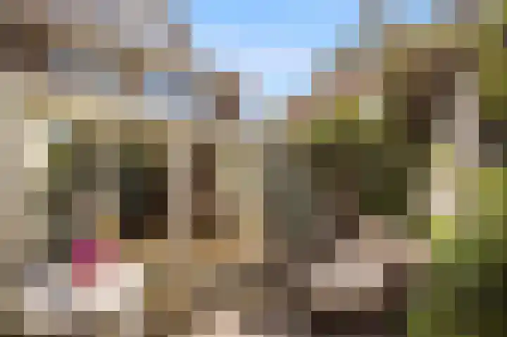Graaf Aelbrechtlaan 4 Amstelveen thumbnail 24