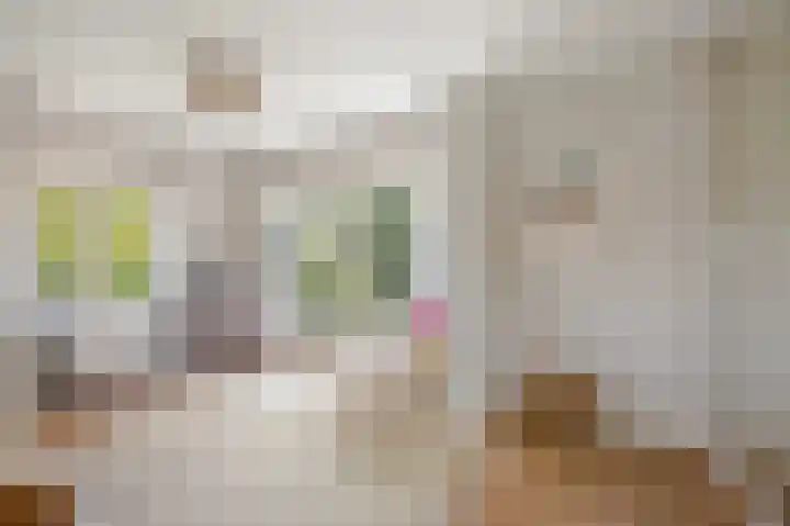 Graaf Aelbrechtlaan 4 Amstelveen thumbnail 32