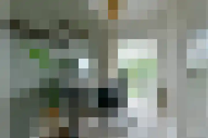 Graaf Aelbrechtlaan 6 Amstelveen thumbnail 13