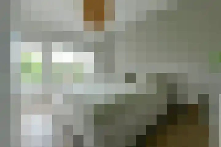 Graaf Aelbrechtlaan 6 Amstelveen thumbnail 14