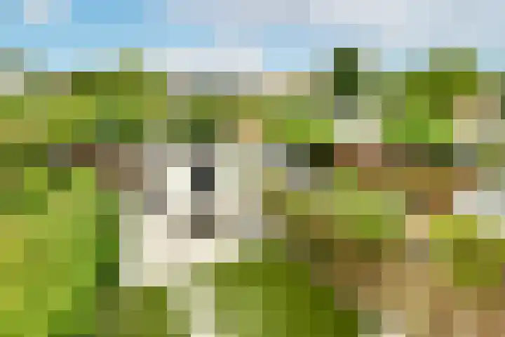 Graaf Aelbrechtlaan 6 Amstelveen thumbnail 16