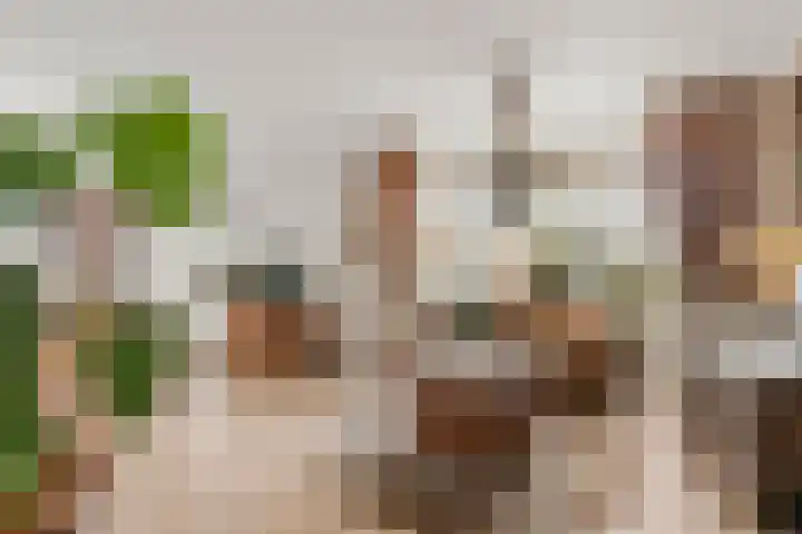 Graaf Aelbrechtlaan 84 Amstelveen thumbnail 9
