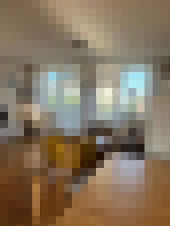 Graaf Balderikstraat 172 Rotterdam thumbnail 9
