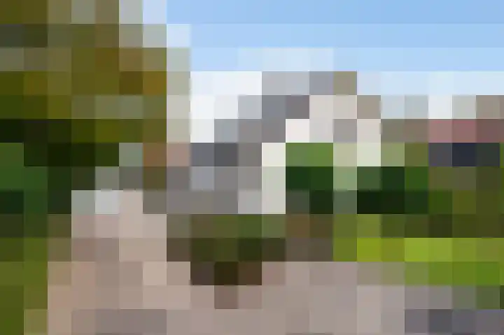 Graaf Bentincklaan 10 Rhoon