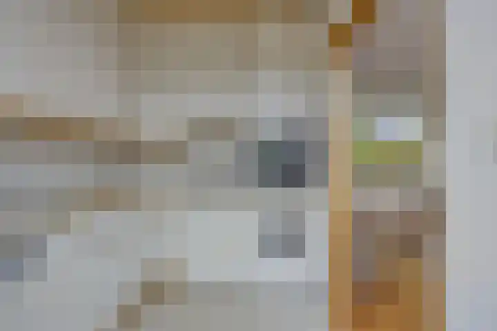 Graaf Dirkstraat 21 Ridderkerk thumbnail 10