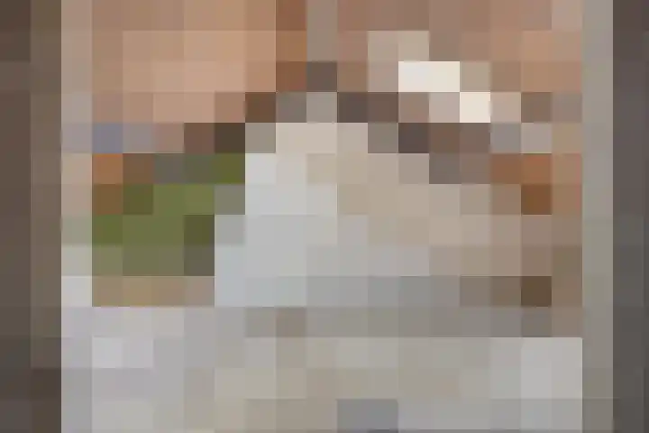 Graaf Dirkstraat 21 Ridderkerk thumbnail 17