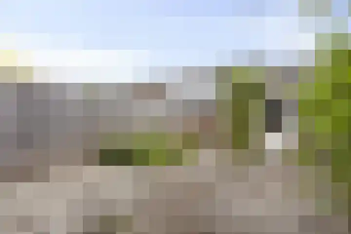 Graaf Dirkstraat 21 Ridderkerk thumbnail 20