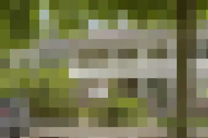 Graaf Dirkstraat 21 Ridderkerk thumbnail 28