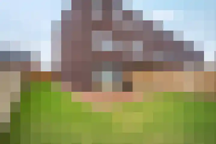 Graaf Edzardstraat 29 Appingedam thumbnail 7