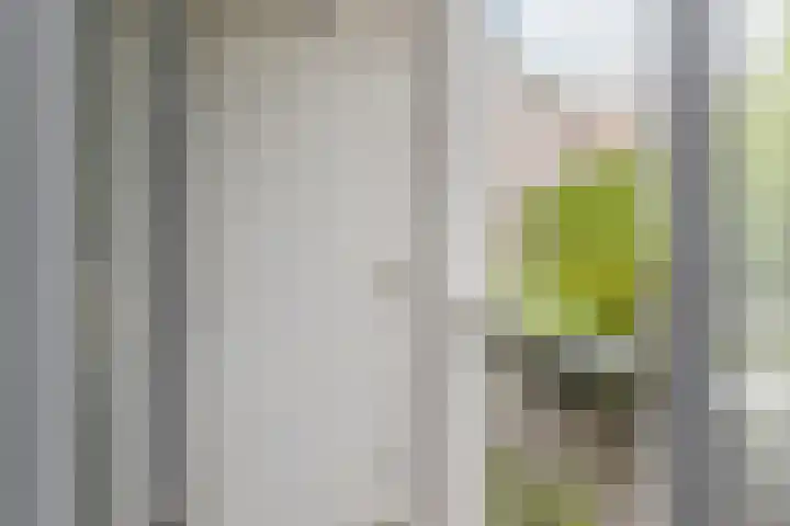 Graaf Engelbertlaan 15 Breda thumbnail 12