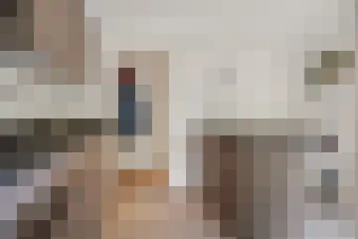 Graaf Engelbertlaan 15 Breda thumbnail 14