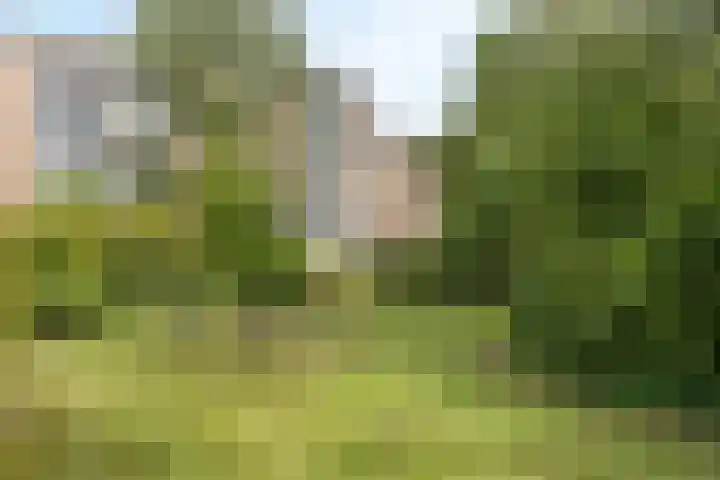 Graaf Engelbertlaan 15 Breda thumbnail 24