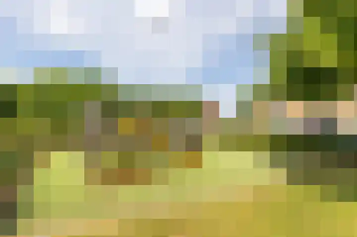 Graaf Engelbertlaan 15 Breda thumbnail 26