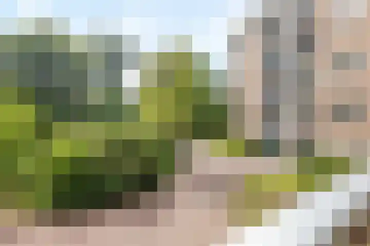 Graaf Engelbertlaan 15 Breda thumbnail 7