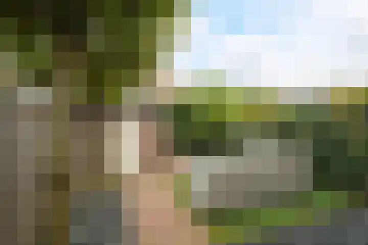 Graaf Engelbertlaan 88 Breda thumbnail 17