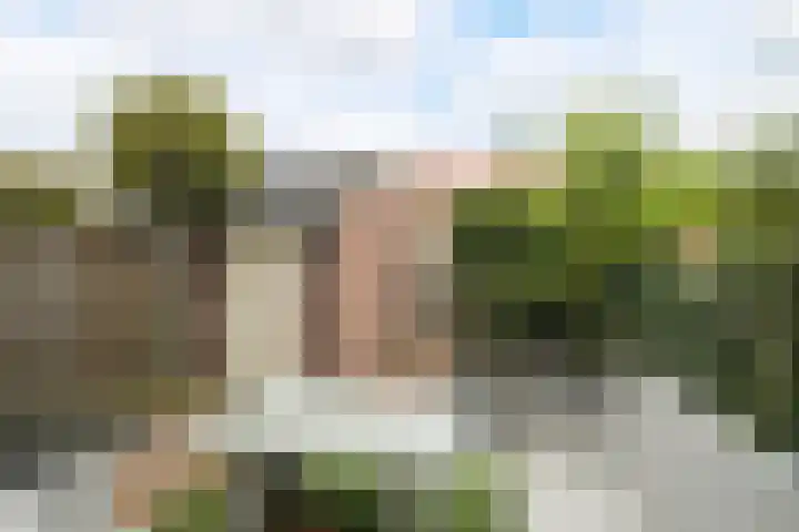 Graaf Engelbertlaan 88 Breda thumbnail 19