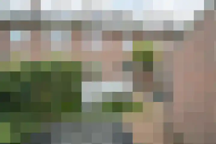Graaf Engelbertlaan 88 Breda thumbnail 20