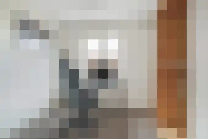 Graaf Engelbertlaan 88 Breda thumbnail 27