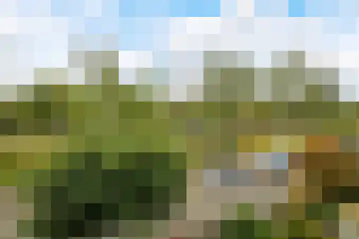 Graaf Engelbertlaan 88 Breda thumbnail 31