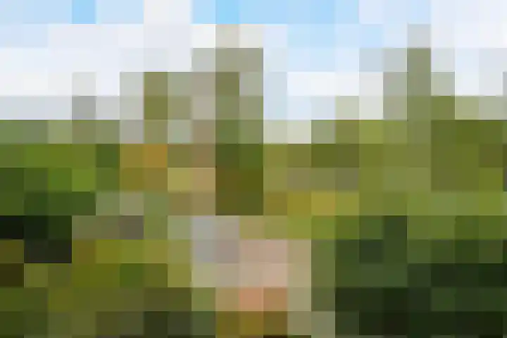 Graaf Engelbertlaan 88 Breda thumbnail 32