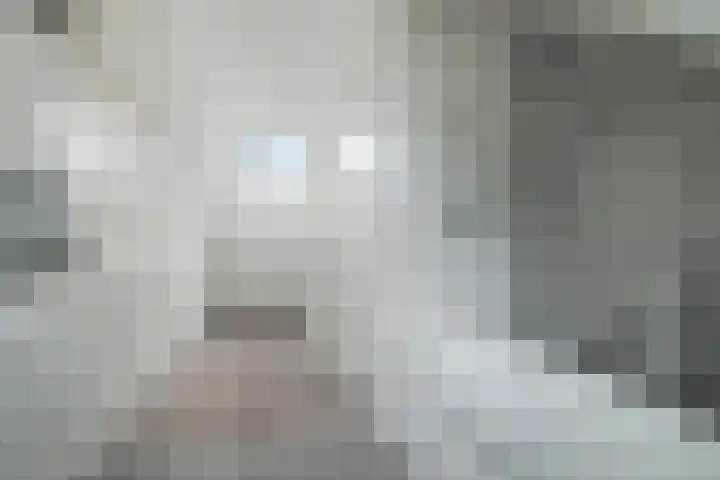 Graaf Engelbertlaan 88 Breda thumbnail 38