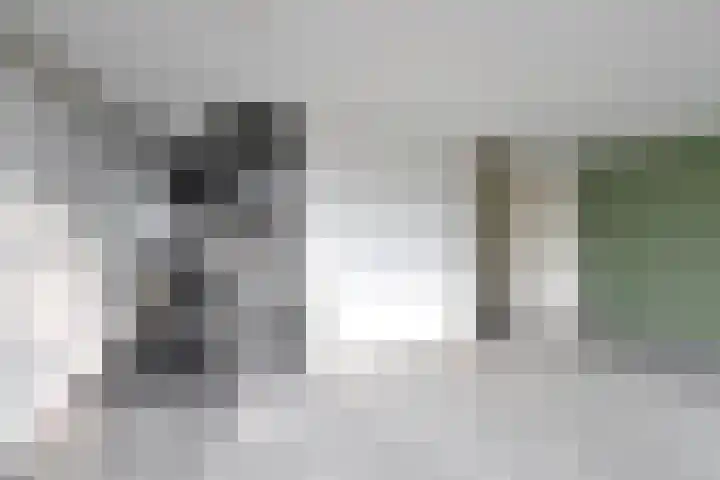 Graaf Floris 10 Huizen thumbnail 5
