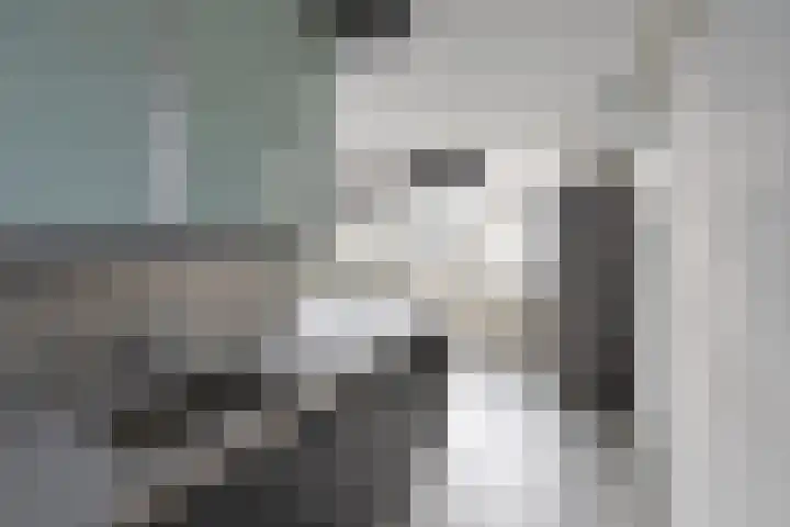 Graaf Floris 10 Huizen thumbnail 6