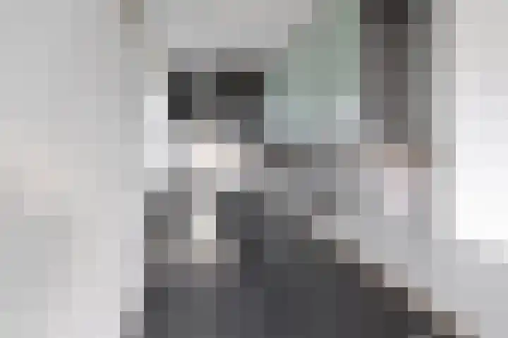 Graaf Floris 10 Huizen thumbnail 7