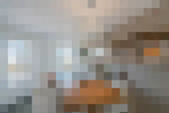 Graaf Floriskade 30 Delft thumbnail 10