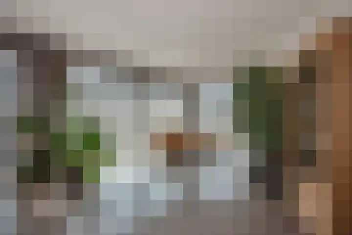 Graaf Floriskade 58 Delft thumbnail 15
