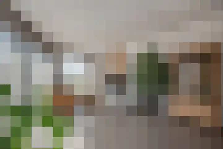 Graaf Floriskade 58 Delft thumbnail 17