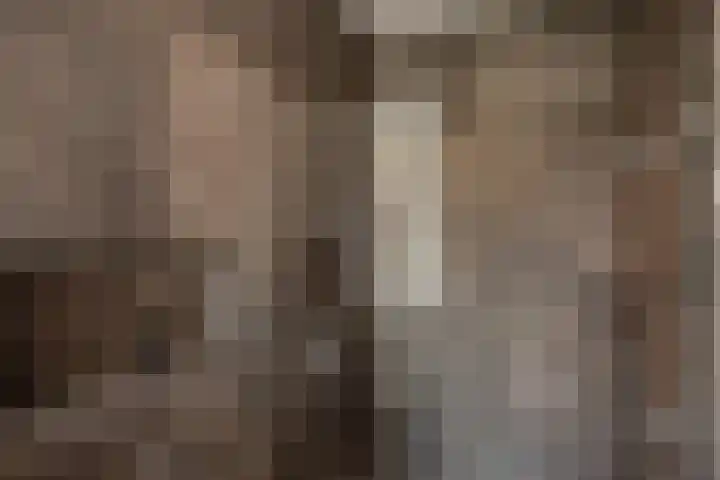 Graaf Floriskade 58 Delft thumbnail 22
