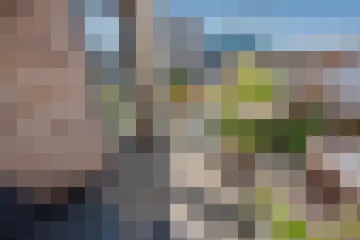 Graaf Floriskade 58 Delft thumbnail 24