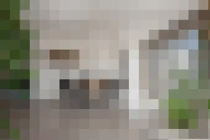 Graaf Floriskade 58 Delft thumbnail 27