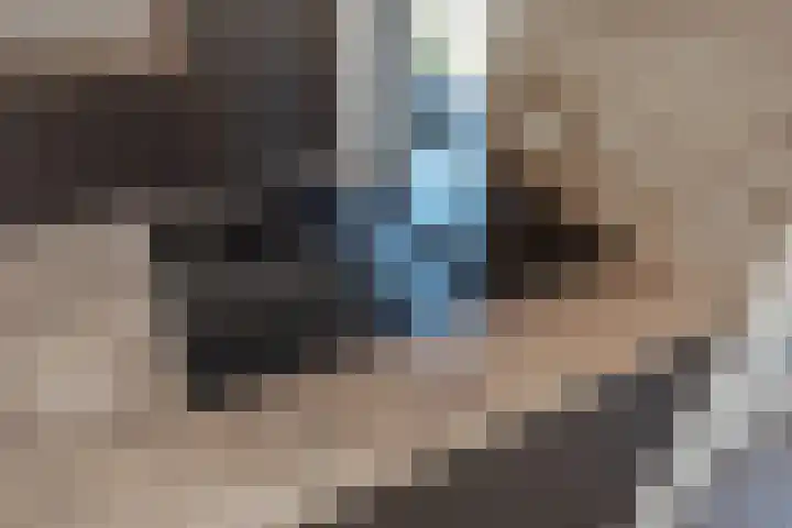 Graaf Floriskade 58 Delft thumbnail 34