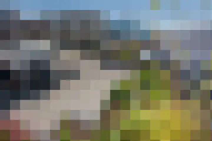 Graaf Floriskade 58 Delft thumbnail 46