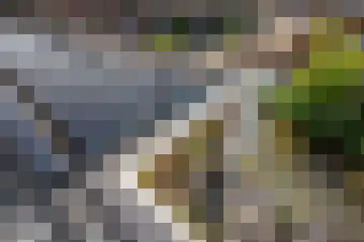 Graaf Floriskade 58 Delft thumbnail 48