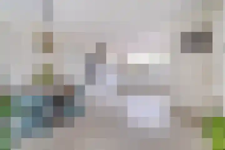 Graaf Floriskade 68 Delft thumbnail 11