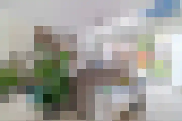 Graaf Floriskade 68 Delft thumbnail 18