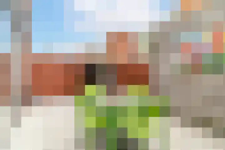 Graaf Floriskade 68 Delft thumbnail 23